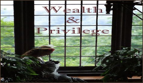A Journey Of Wealth, Privilege, And Legacy